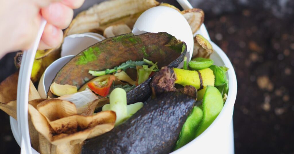 生ごみとして回収される野菜くずや果物の皮の食品廃棄物