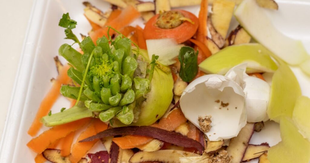 卵の殻や野菜の皮を集めた生ごみのクローズアップ