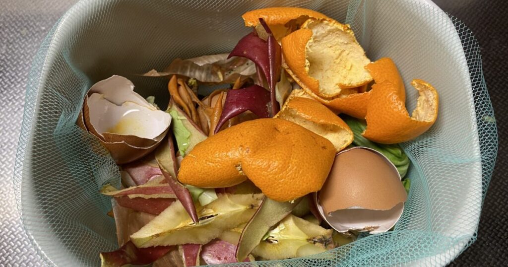 果物の皮や卵の殻を集めたコンポスト用生ごみ