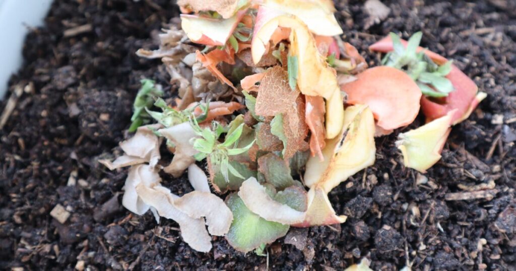 果物や野菜の皮を土に混ぜたコンポスト用生ごみ