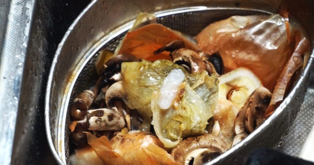 野菜くずやきのこを集めた水切り中の生ごみ