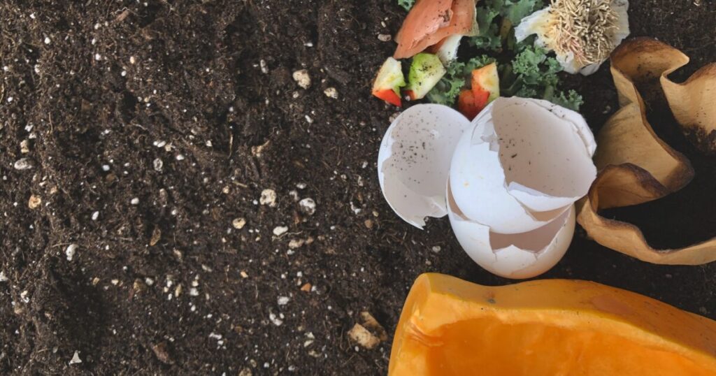 卵の殻や野菜くずを土に混ぜたコンポストのイメージ