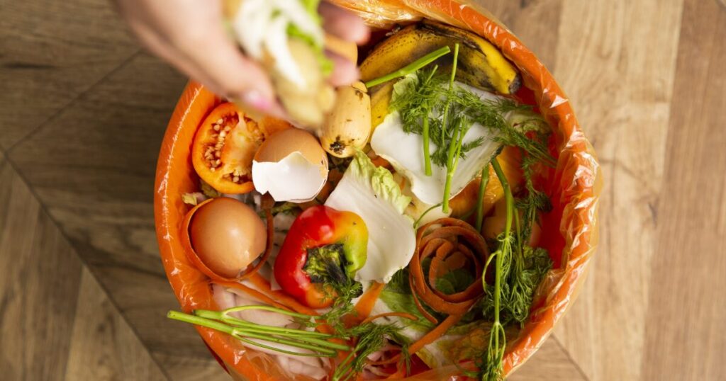 野菜くずや果物の皮が入った生ごみ用ごみ箱