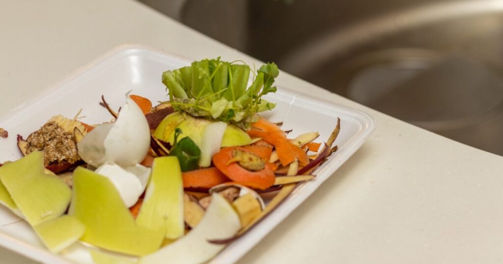 食品トレーに集められた野菜くずや卵の殻の生ごみ