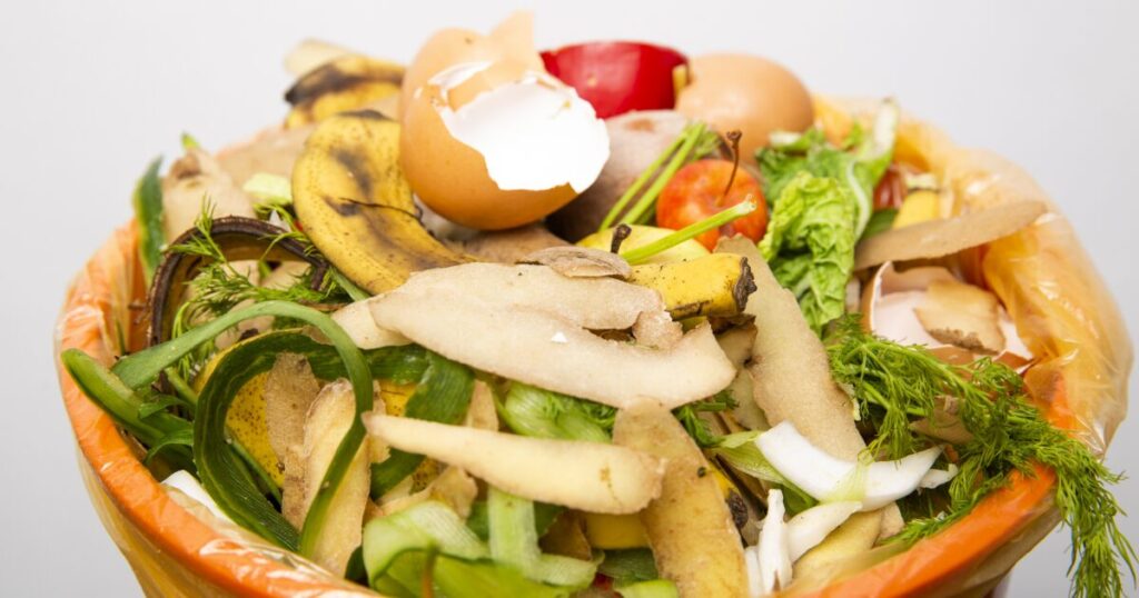 野菜くずや果物の皮と卵の殻が入った生ごみバケツ